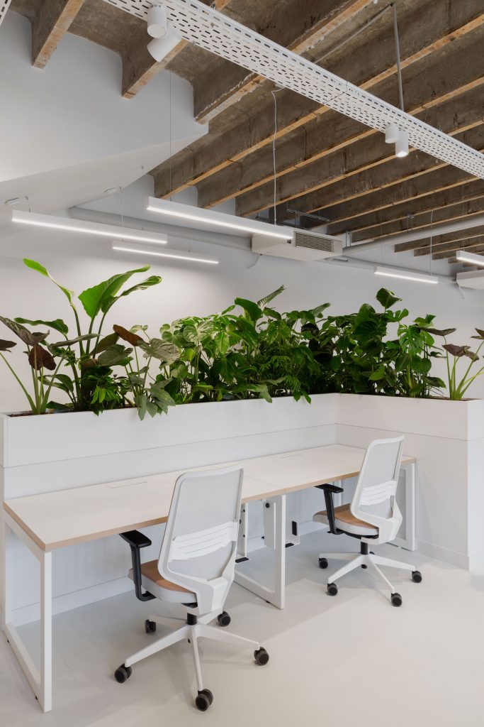 Bureau au premier plan et au second, jardinière sur-mesure pleine de plantes vertes foisonnante, une véritable jungle.