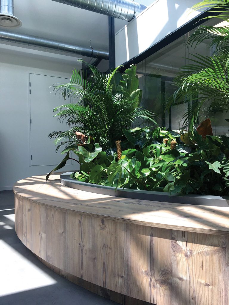 Jardinière massive en bois remplie d'une grande diversité de plantes d'intérieur, pour un effet jungle garanti.