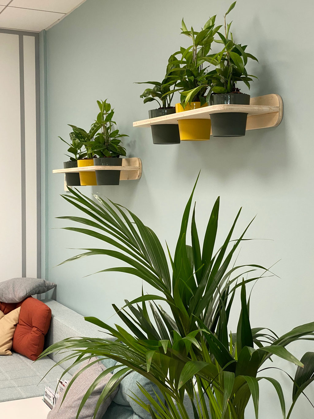 Étagères en bois perforées accueillant des pots contenant des plantes vertes naturelles.