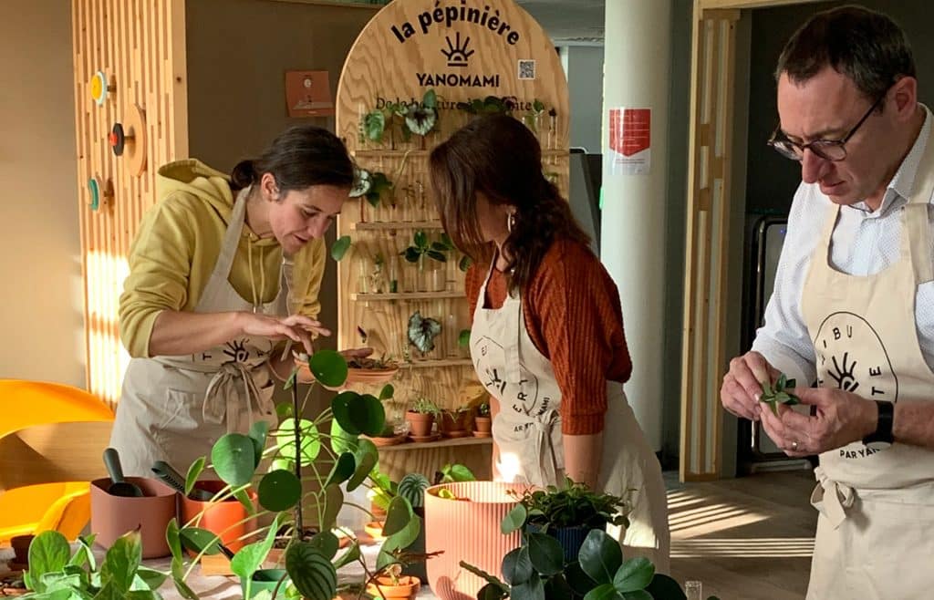Photographie qui représente trois personnes concentrées sur des plantes vertes, comme un atelier autour du végétal