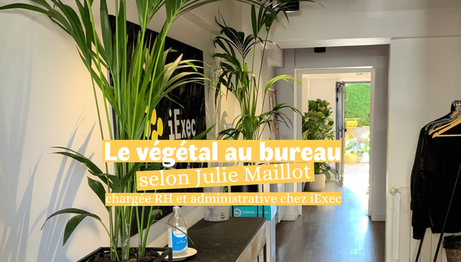 Le végétal au bureau selon Julie Maillot, chargée RH et administrative chez iExec
