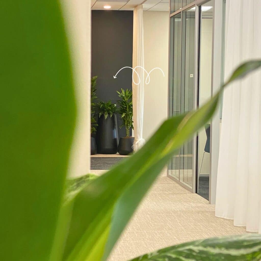 Composition végétale avec des pots uniformes