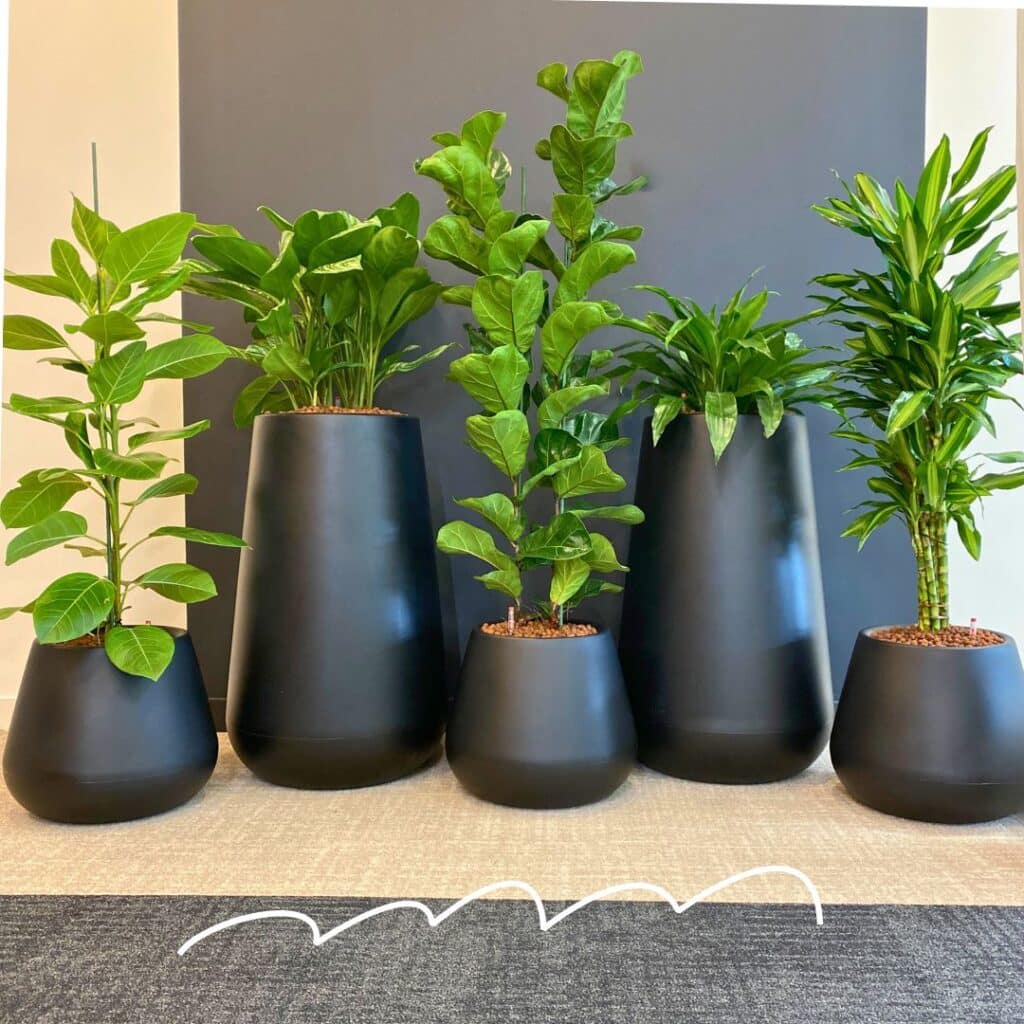 composition végétale dans espace de travail 