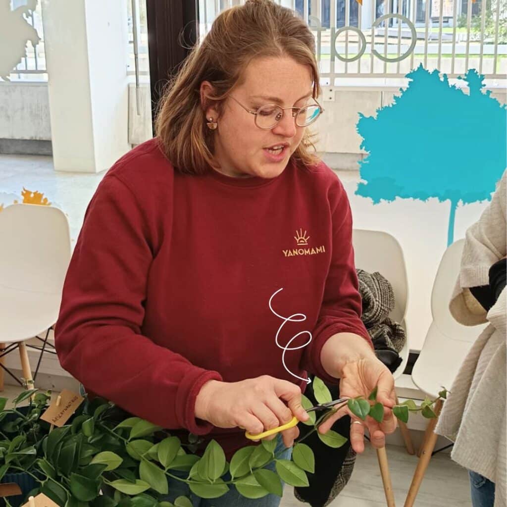 transmission de savoir