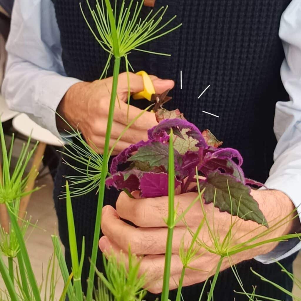 atelier collaboratif