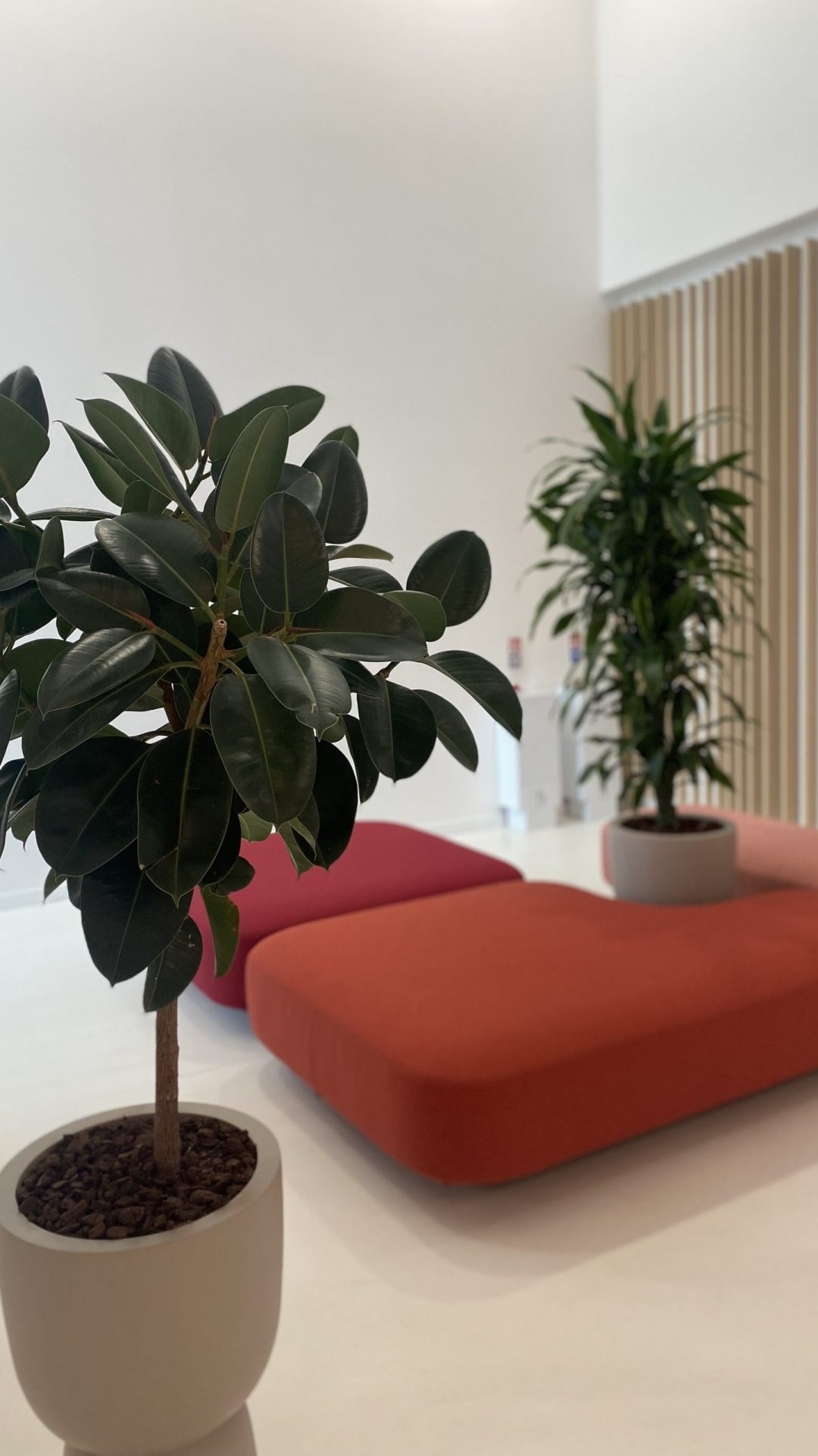 Symbio-Ammenagement-janvier-2024-3