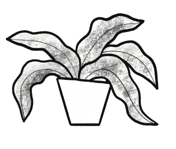 Yanomami-illustration-plantes-dechets-vegetaux-compostable