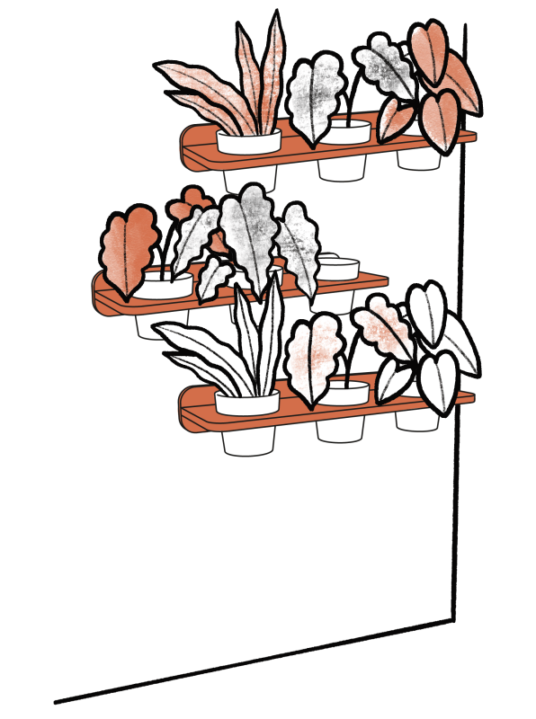 Illustration montrant 3 étagères murales les unes au dessus des autres toutes trois composées de trois pots avec des plantes.